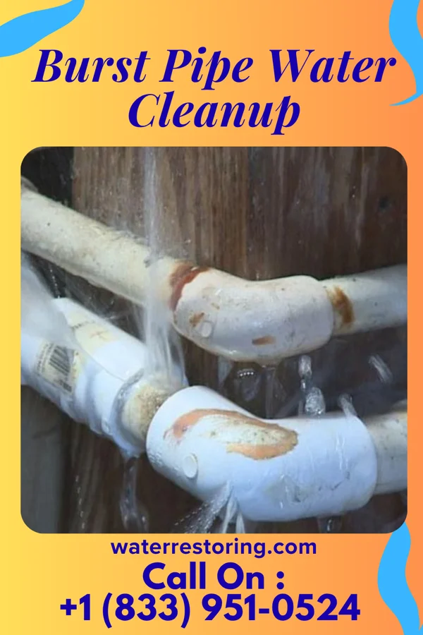 Burst Pipe Water Cleanup in Port Hope, MI