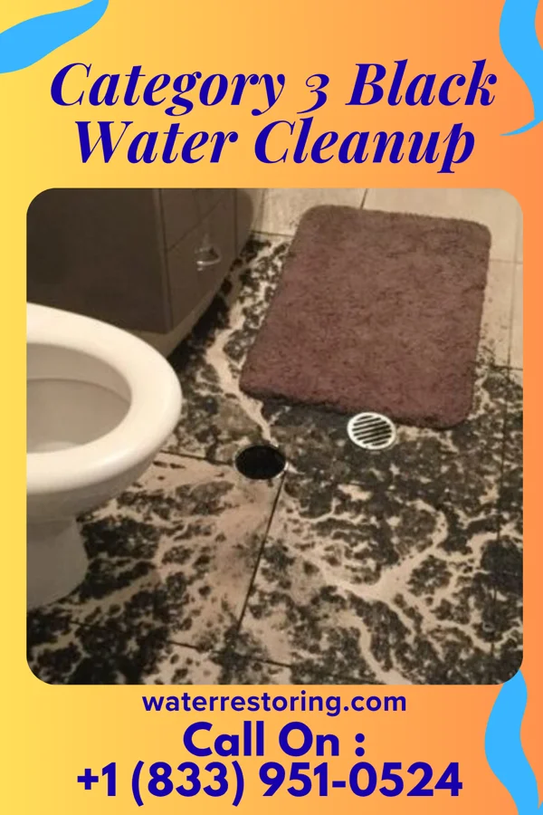 Category 3 Black Water Cleanup in Port Hope, MI