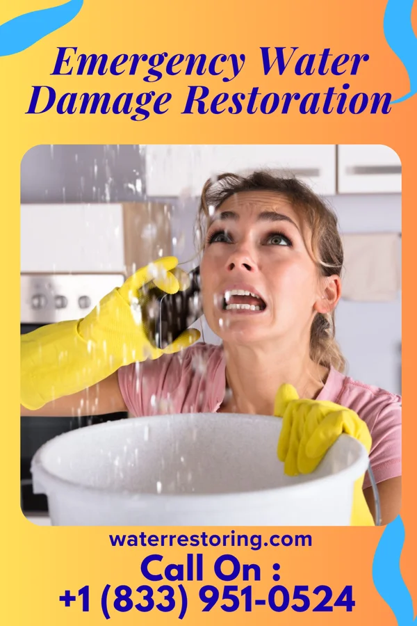 Emergency Water Damage Restoration in Port Hope, MI