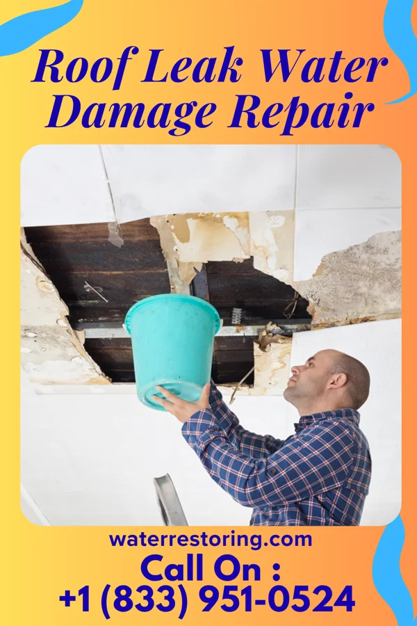 Roof Leak Water Damage Repair in Port Hope, MI