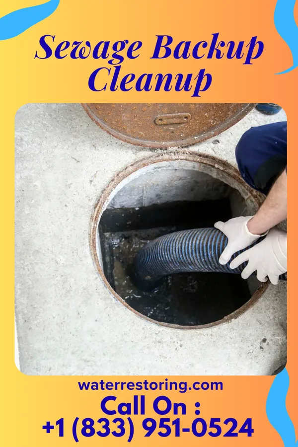 Sewage Backup Cleanup in Port Hope, MI