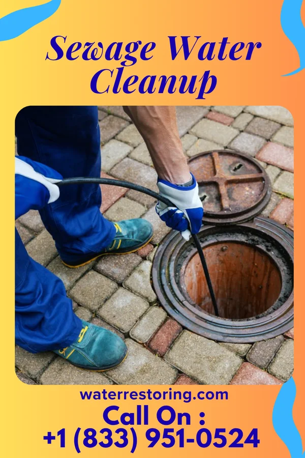 Sewage Water Cleanup in Port Hope, MI